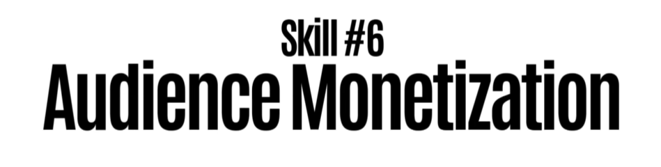 6. Audience Monetization (Hidden High Income Skill)
