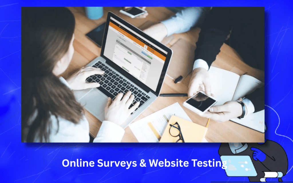 Online Surveys & Website Testing 